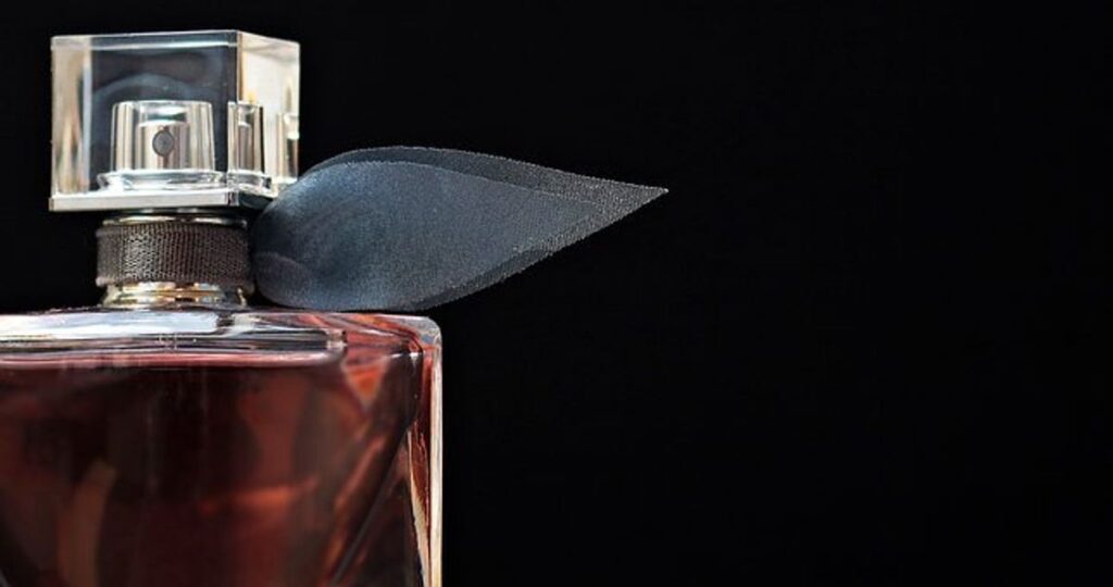 Estee Lauder Fragrance Brands