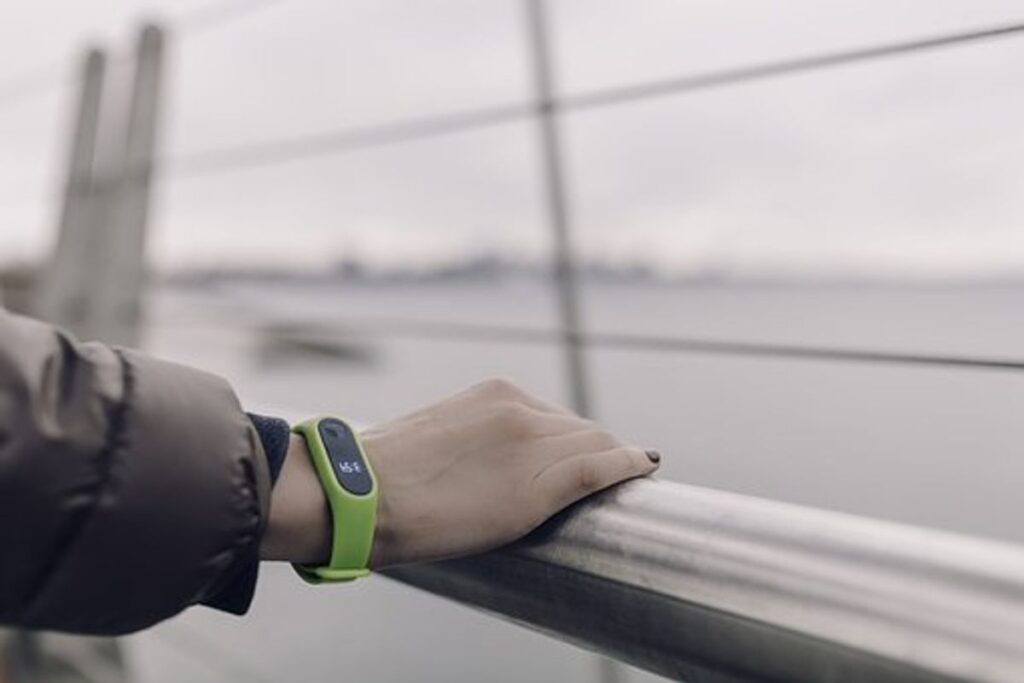 timex fitbit