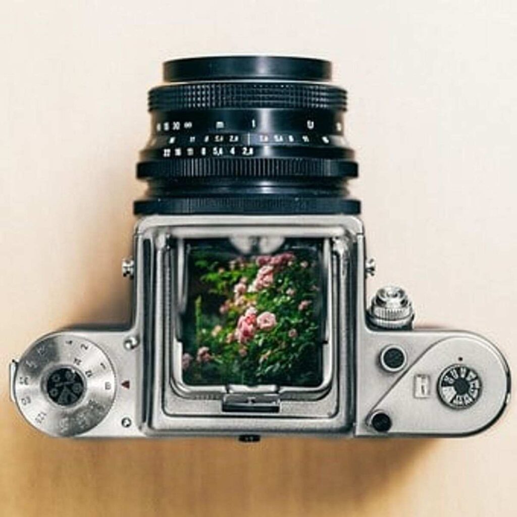 wildlife camera