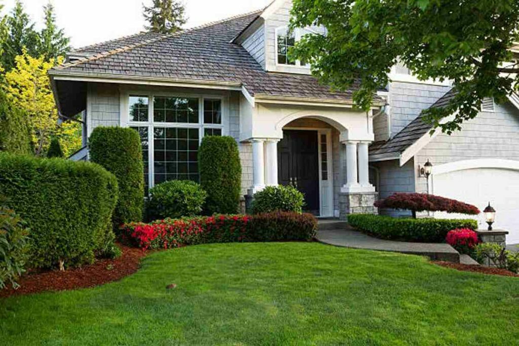 Garden Pristine