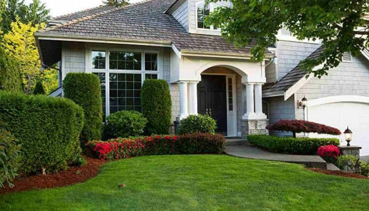 Garden Pristine