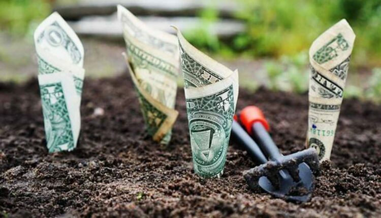 Investing