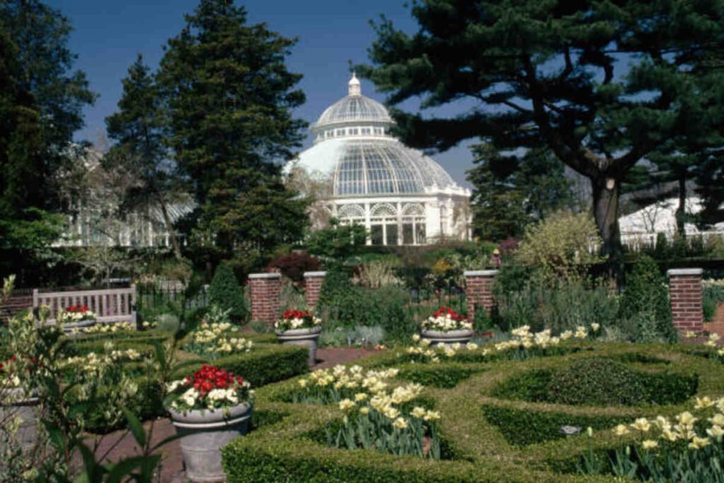 bronx botanical garden