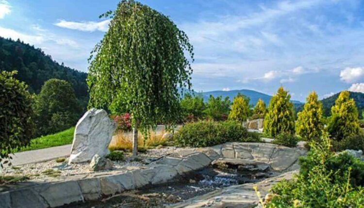 sensory garden
