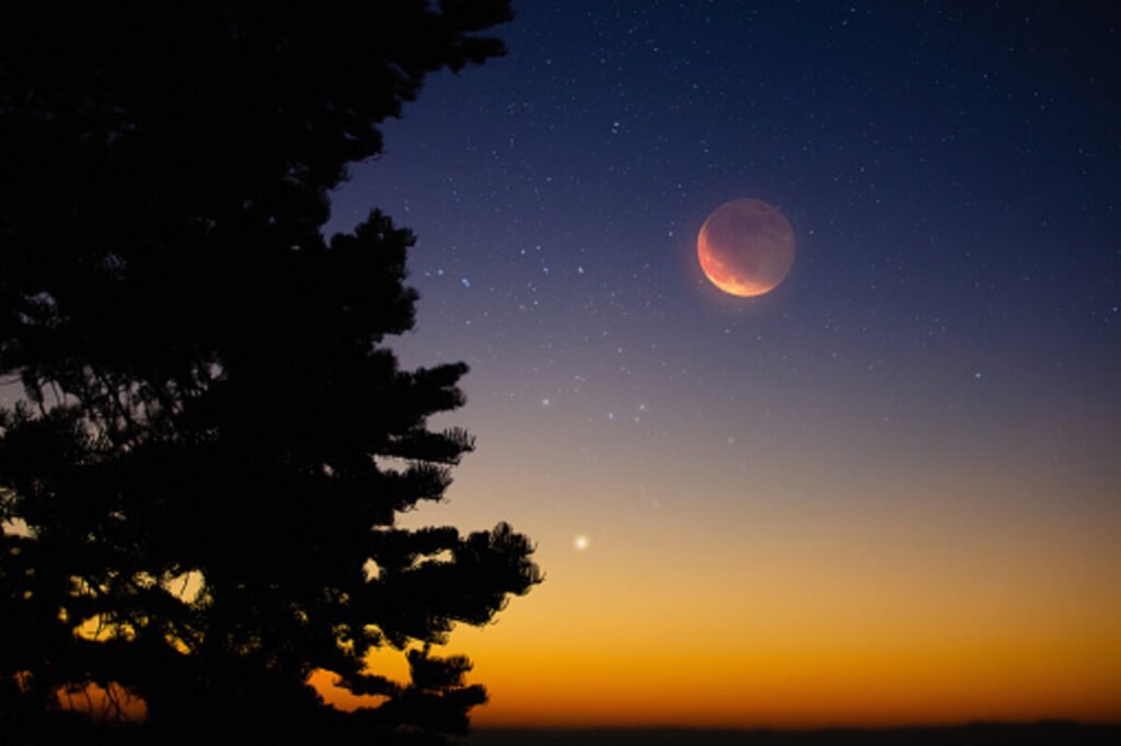 what is a conjunction