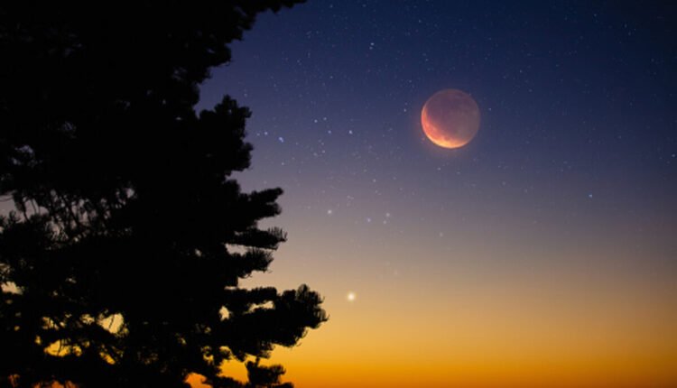 what is a conjunction