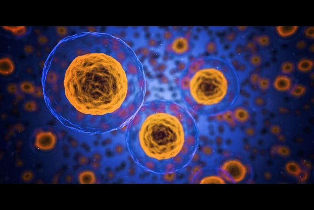 what is cell