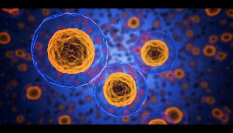 what is cell
