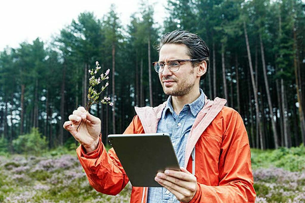 Outdoor Research Foray Jacket Review
