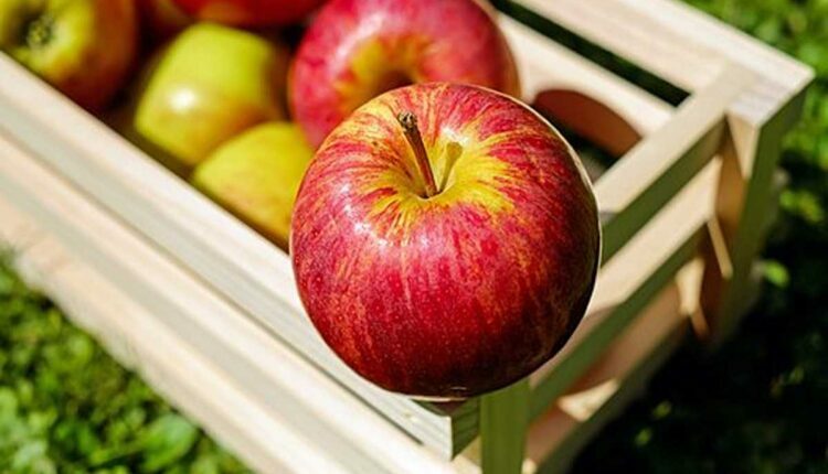 How to Eat Healthier