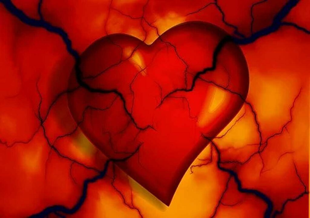 Heart and Artery (Cardiovascular) Problems