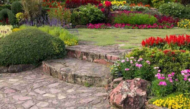 home depot garden club