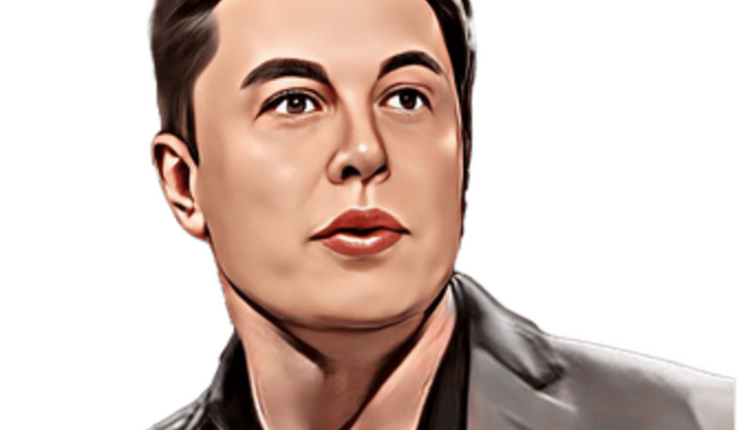 elon musk net worth
