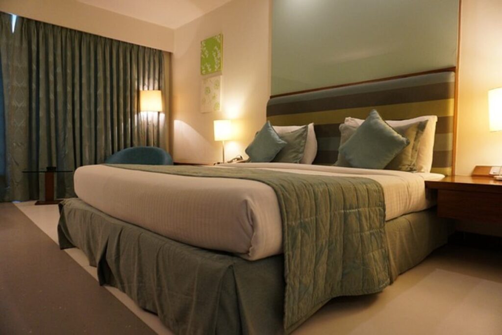 eucalyptus sheet