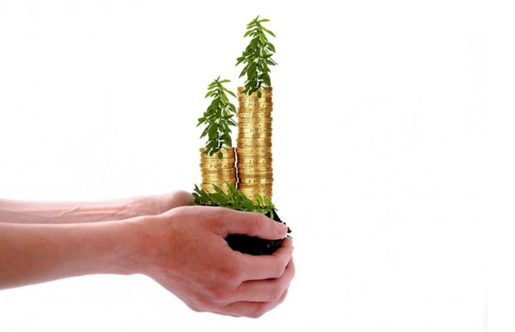 What are the 4 types of investors?