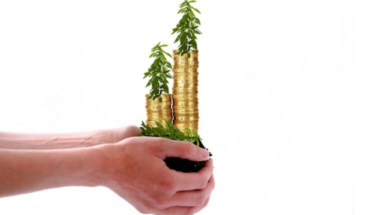 What are the 4 types of investors?