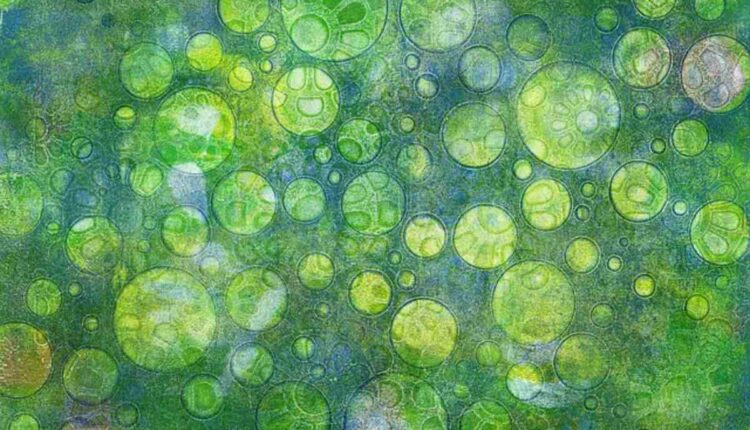 Green Paint Colors
