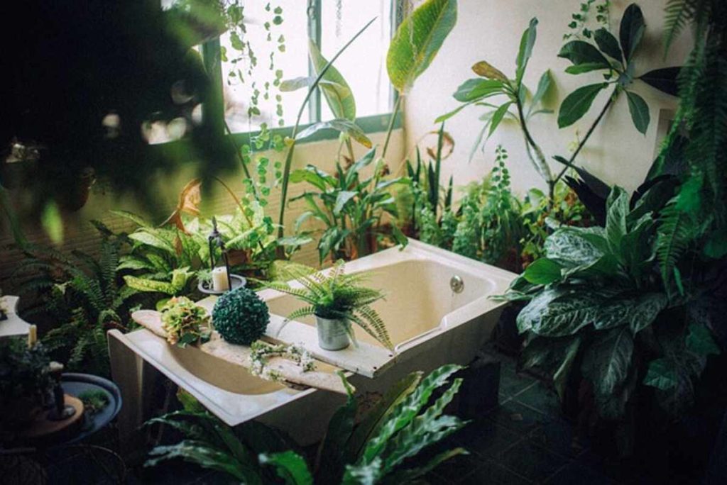 vật liệu làm vách ngăn