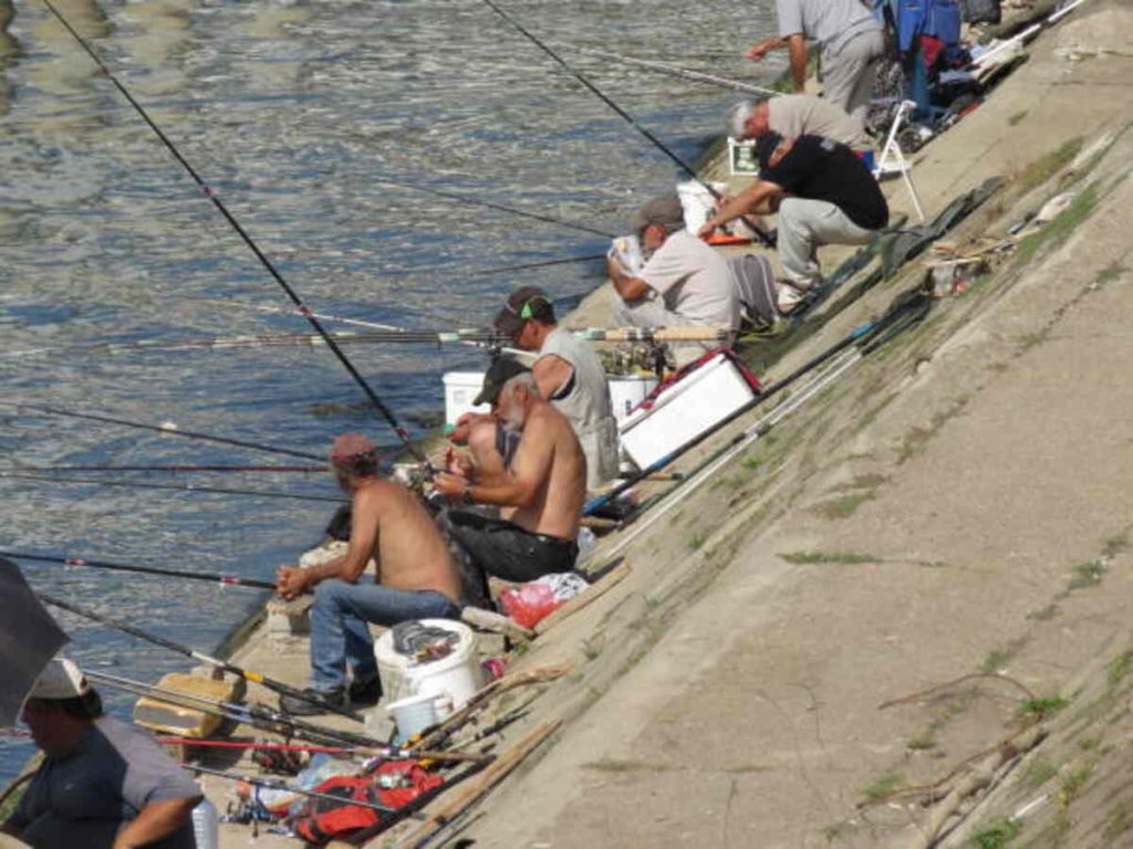 What is a Community Bible Study Fisher?