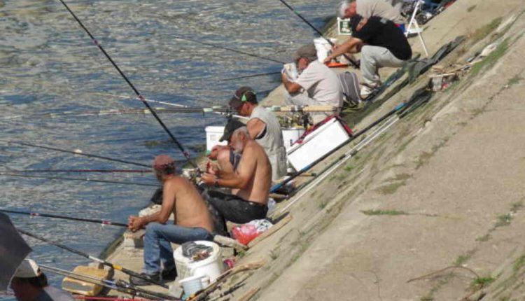 What is a Community Bible Study Fisher?