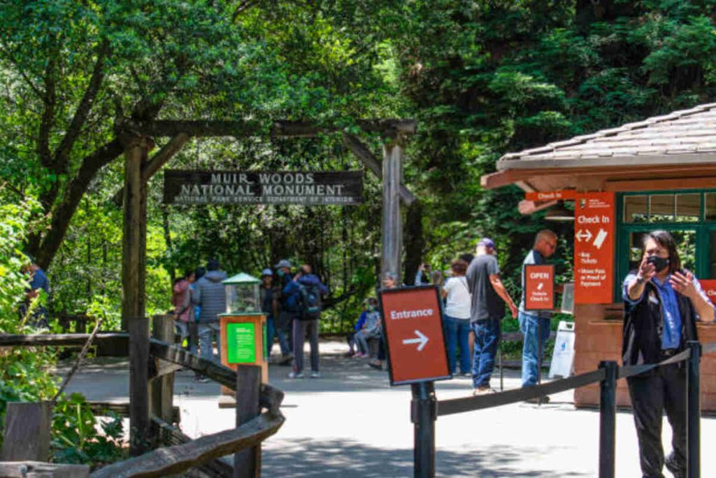 National Park Puzzles to Challenge Your Guests