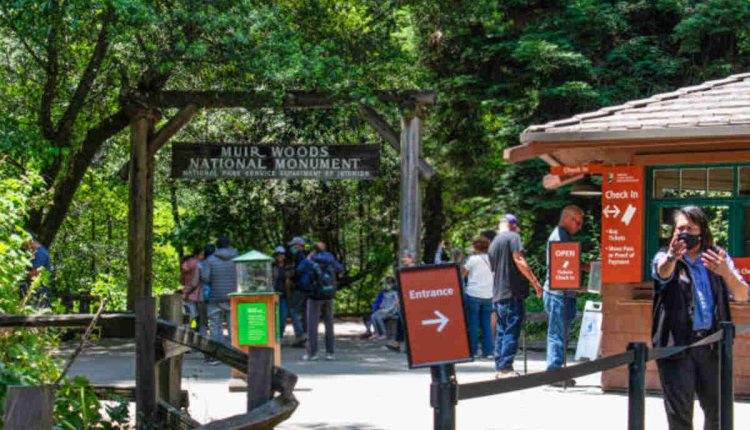 National Park Puzzles to Challenge Your Guests