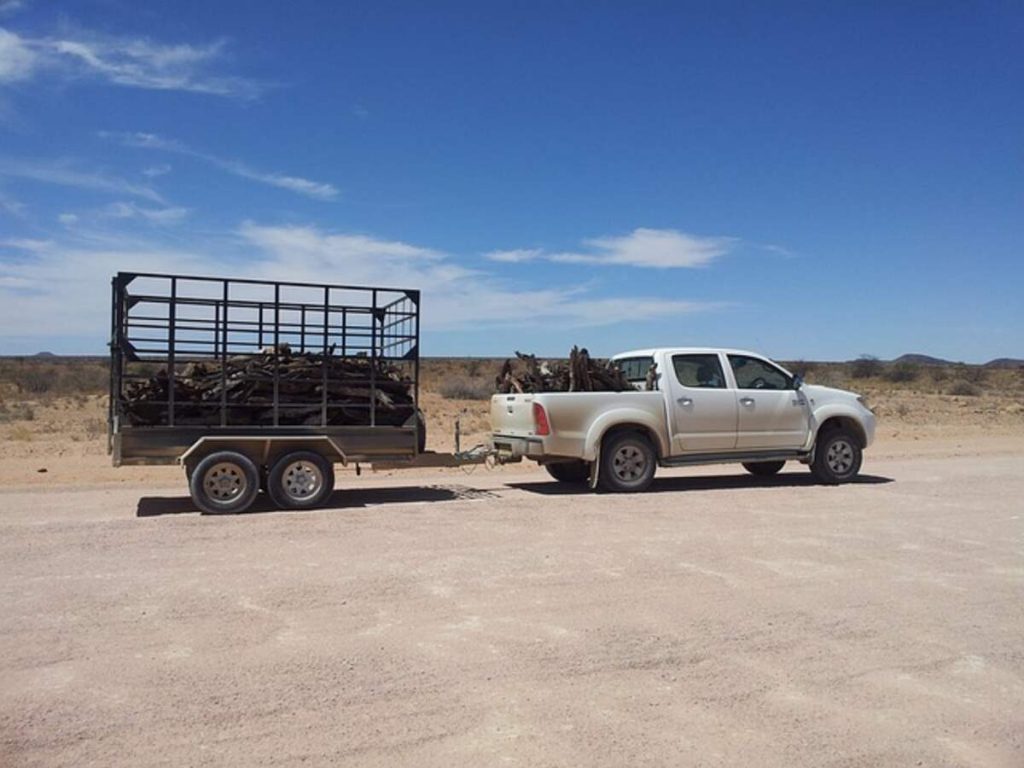 car transportation services near me