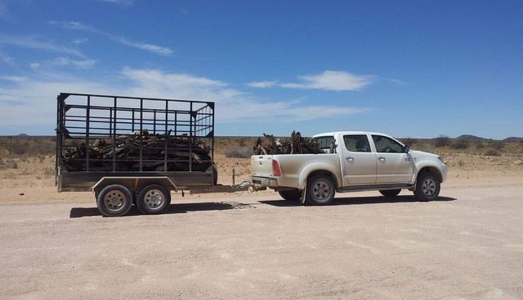 car transportation services near me