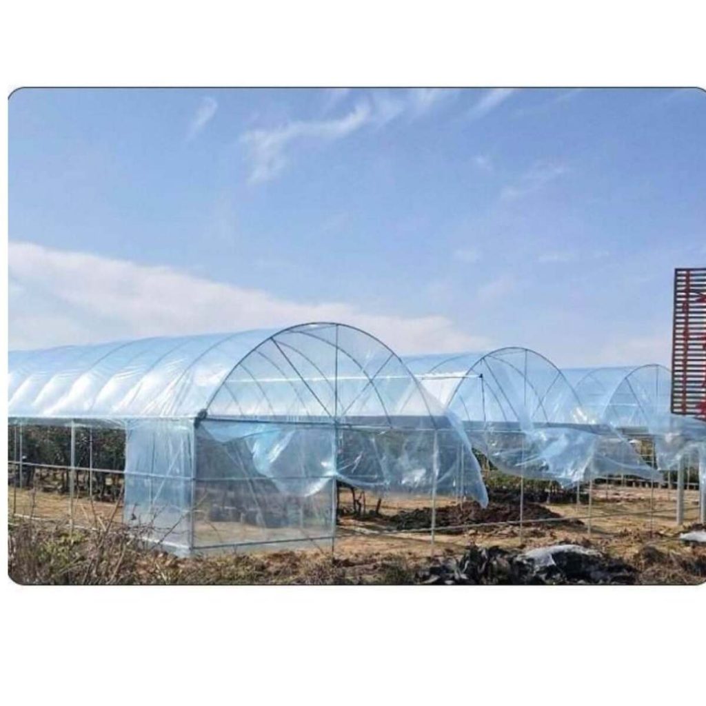china plastic greenhouses sale