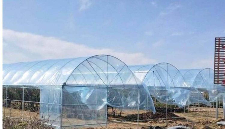 china plastic greenhouses sale