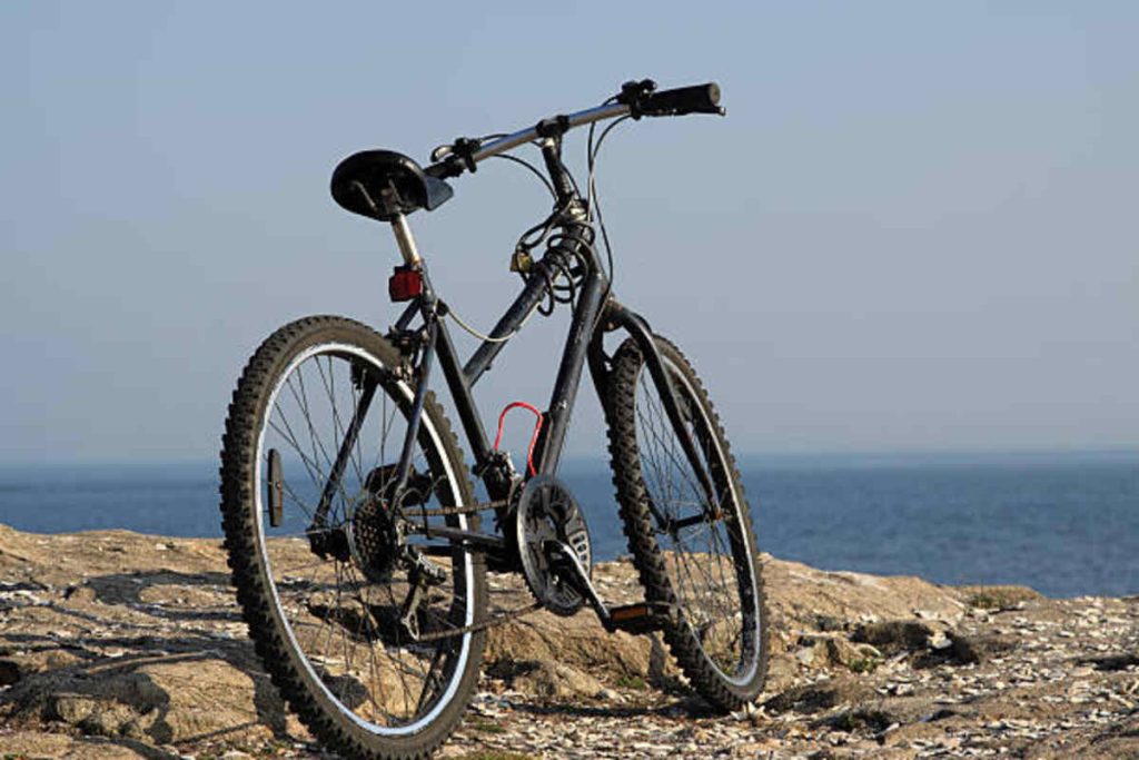 The Shogun Mountain Bike