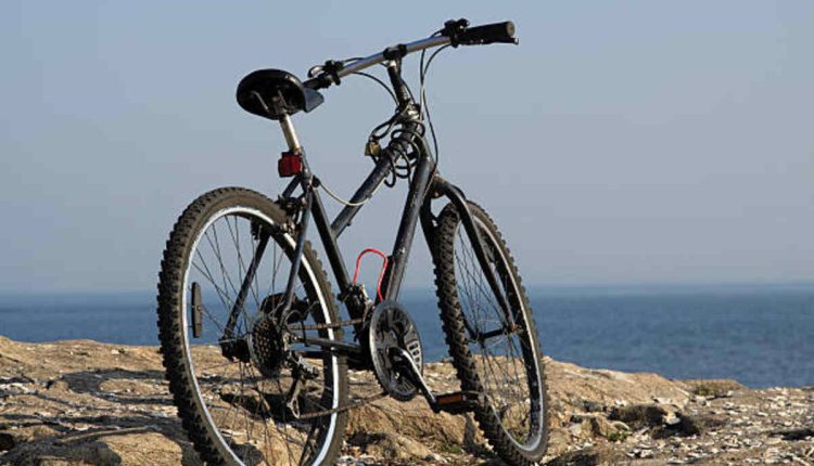 The Shogun Mountain Bike