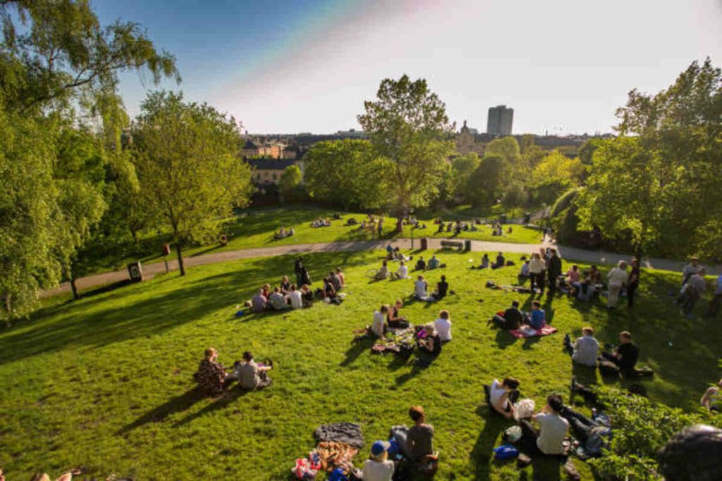 What Do People Do in the Park?
