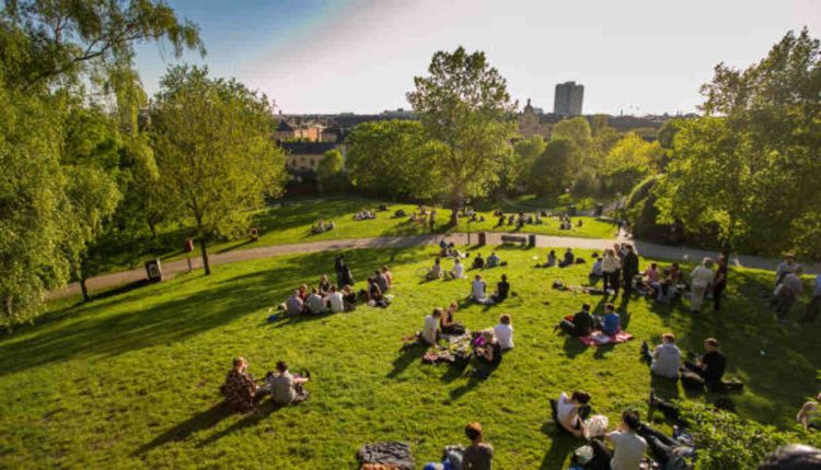 What Do People Do in the Park?
