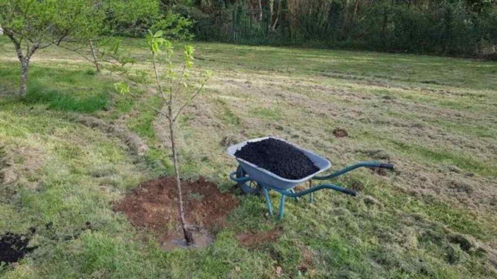 The way to select the Right Soil Improver