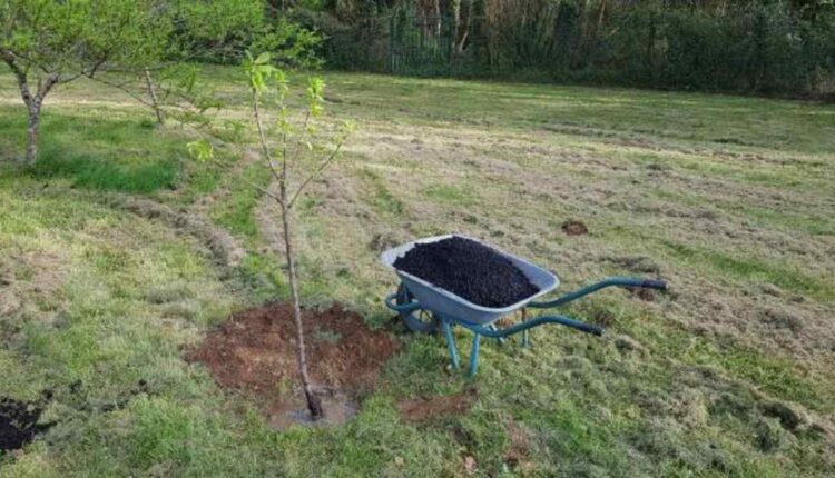 The way to select the Right Soil Improver