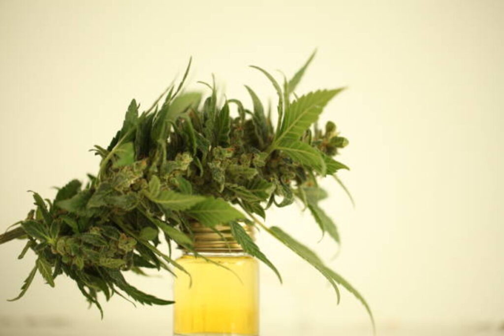 Considerations about the Harbor City Hemp Core 2 . 0