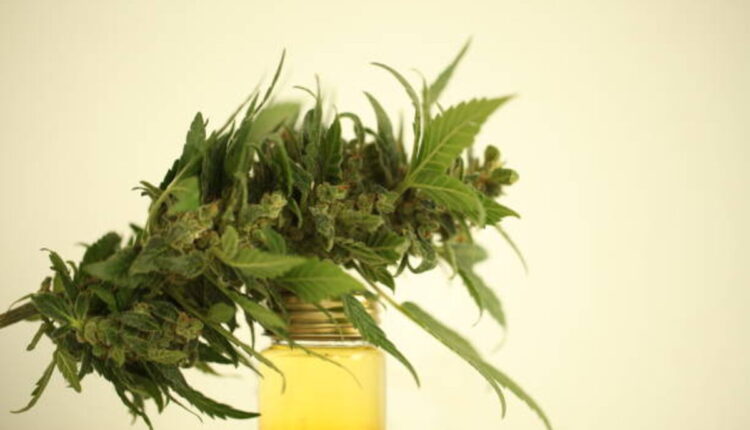Considerations about the Harbor City Hemp Core 2 . 0