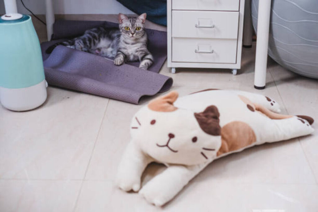 cat shaped rug