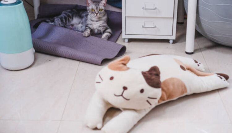 cat shaped rug
