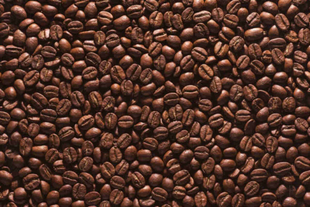 Coffee bean corral Unforgettable 7