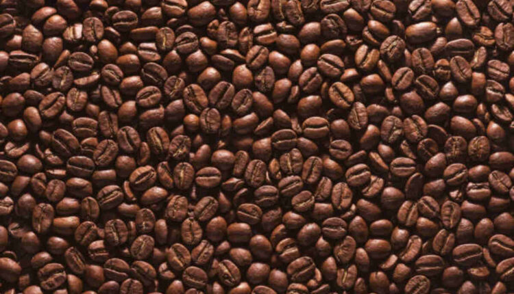 Coffee bean corral Unforgettable 7